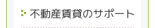 sỸ݂T|[g